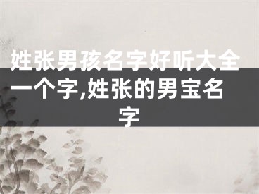姓张男孩名字好听大全一个字,姓张的男宝名字