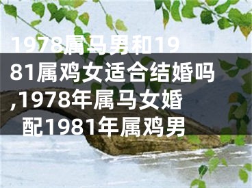 1978属马男和1981属鸡女适合结婚吗,1978年属马女婚配1981年属鸡男