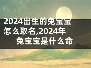 2024出生的兔宝宝怎么取名,2024年兔宝宝是什么命