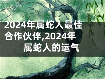 2024年属蛇人最佳合作伙伴,2024年属蛇人的运气