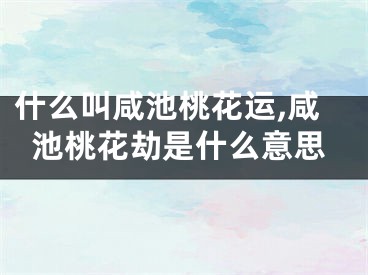 什么叫咸池桃花运,咸池桃花劫是什么意思