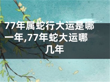 77年属蛇行大运是哪一年,77年蛇大运哪几年