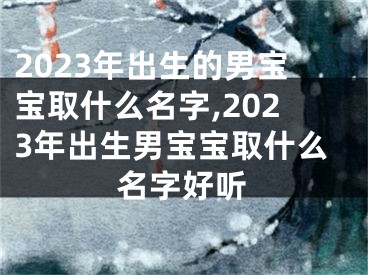2023年出生的男宝宝取什么名字,2023年出生男宝宝取什么名字好听
