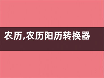 农历,农历阳历转换器