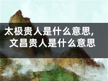 太极贵人是什么意思,文昌贵人是什么意思