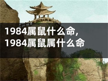 1984属鼠什么命,1984属鼠属什么命