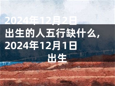 2024年12月2日出生的人五行缺什么,2024年12月1日出生