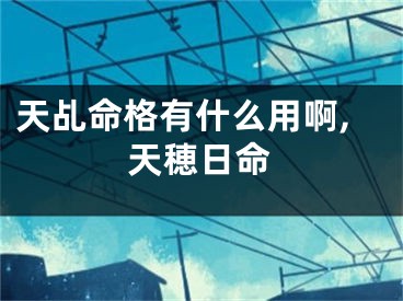 天乩命格有什么用啊,天穂日命