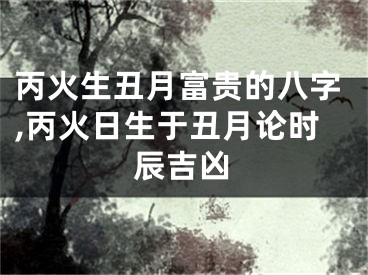 丙火生丑月富贵的八字,丙火日生于丑月论时辰吉凶