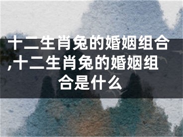 十二生肖兔的婚姻组合,十二生肖兔的婚姻组合是什么