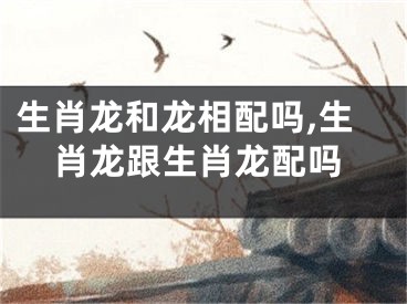 生肖龙和龙相配吗,生肖龙跟生肖龙配吗