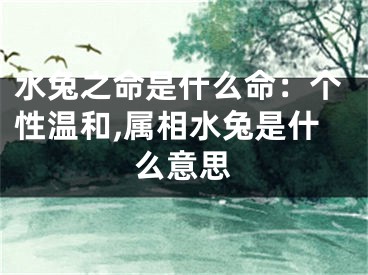 水兔之命是什么命：个性温和,属相水兔是什么意思