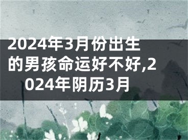 2024年3月份出生的男孩命运好不好,2024年阴历3月