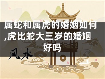 属蛇和属虎的婚姻如何,虎比蛇大三岁的婚姻好吗