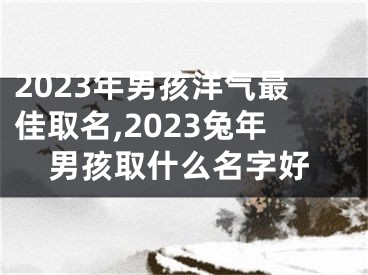 2023年男孩洋气最佳取名,2023兔年男孩取什么名字好