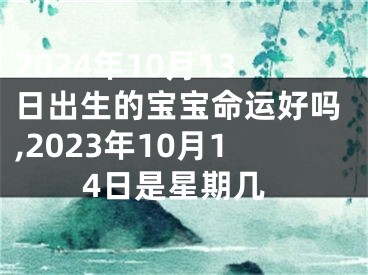 2024年10月13日出生的宝宝命运好吗,2023年10月14日是星期几