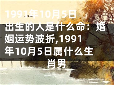 1991年10月5日出生的人是什么命：婚姻运势波折,1991年10月5日属什么生肖男