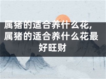 属猪的适合养什么花,属猪的适合养什么花最好旺财