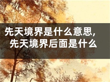 先天境界是什么意思,先天境界后面是什么
