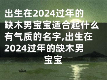 出生在2024过年的缺木男宝宝适合起什么有气质的名字,出生在2024过年的缺木男宝宝
