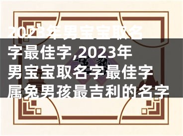 2023年男宝宝取名字最佳字,2023年男宝宝取名字最佳字 属兔男孩最吉利的名字