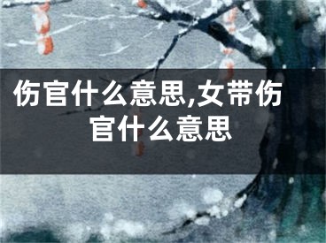 伤官什么意思,女带伤官什么意思