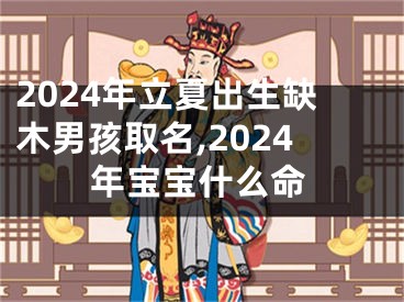 2024年立夏出生缺木男孩取名,2024年宝宝什么命