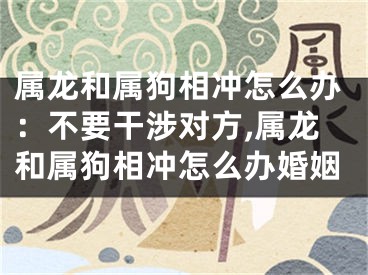 属龙和属狗相冲怎么办：不要干涉对方,属龙和属狗相冲怎么办婚姻