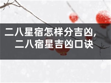 二八星宿怎样分吉凶,二八宿星吉凶口诀