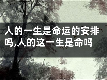 人的一生是命运的安排吗,人的这一生是命吗