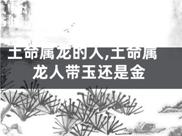 土命属龙的人,土命属龙人带玉还是金