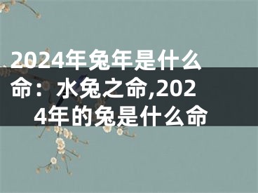 2024年兔年是什么命：水兔之命,2024年的兔是什么命