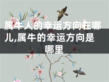 属牛人的幸运方向在哪儿,属牛的幸运方向是哪里