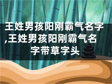 王姓男孩阳刚霸气名字,王姓男孩阳刚霸气名字带草字头
