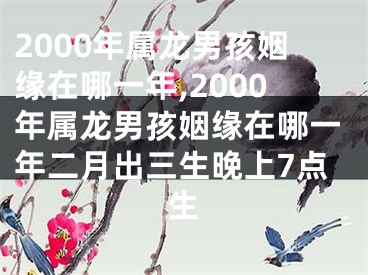 2000年属龙男孩姻缘在哪一年,2000年属龙男孩姻缘在哪一年二月出三生晚上7点生
