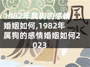 1982年属狗的感情婚姻如何,1982年属狗的感情婚姻如何2023