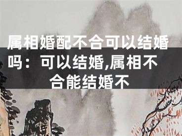 属相婚配不合可以结婚吗：可以结婚,属相不合能结婚不