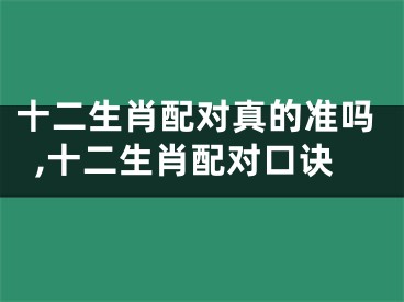 十二生肖配对真的准吗,十二生肖配对口诀