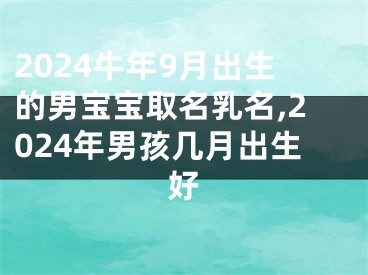 2024牛年9月出生的男宝宝取名乳名,2024年男孩几月出生好