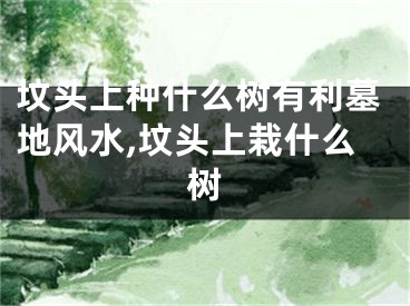 坟头上种什么树有利墓地风水,坟头上栽什么树