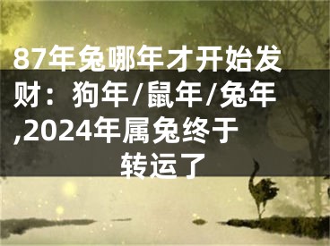 87年兔哪年才开始发财：狗年/鼠年/兔年,2024年属兔终于转运了