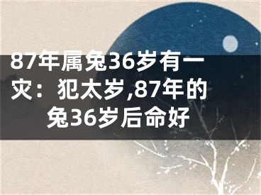 87年属兔36岁有一灾：犯太岁,87年的兔36岁后命好