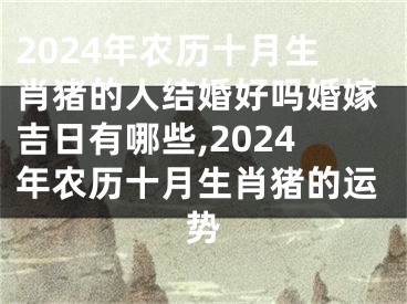 2024年农历十月生肖猪的人结婚好吗婚嫁吉日有哪些,2024年农历十月生肖猪的运势