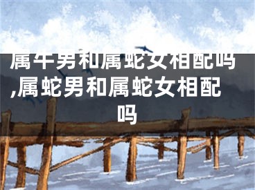 属牛男和属蛇女相配吗,属蛇男和属蛇女相配吗