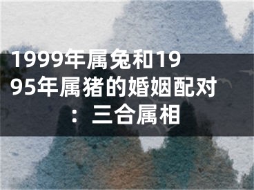 1999年属兔和1995年属猪的婚姻配对：三合属相