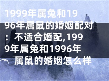 1999年属兔和1996年属鼠的婚姻配对：不适合婚配,1999年属兔和1996年属鼠的婚姻怎么样