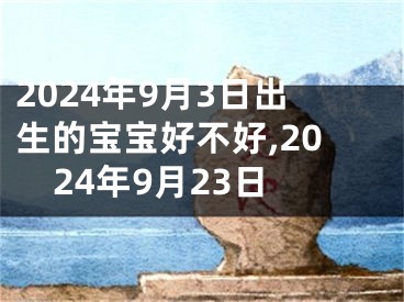 2024年9月3日出生的宝宝好不好,2024年9月23日
