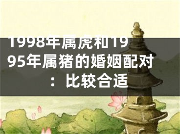 1998年属虎和1995年属猪的婚姻配对：比较合适