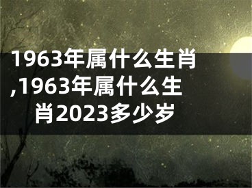 1963年属什么生肖,1963年属什么生肖2023多少岁