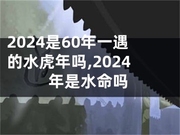 2024是60年一遇的水虎年吗,2024年是水命吗